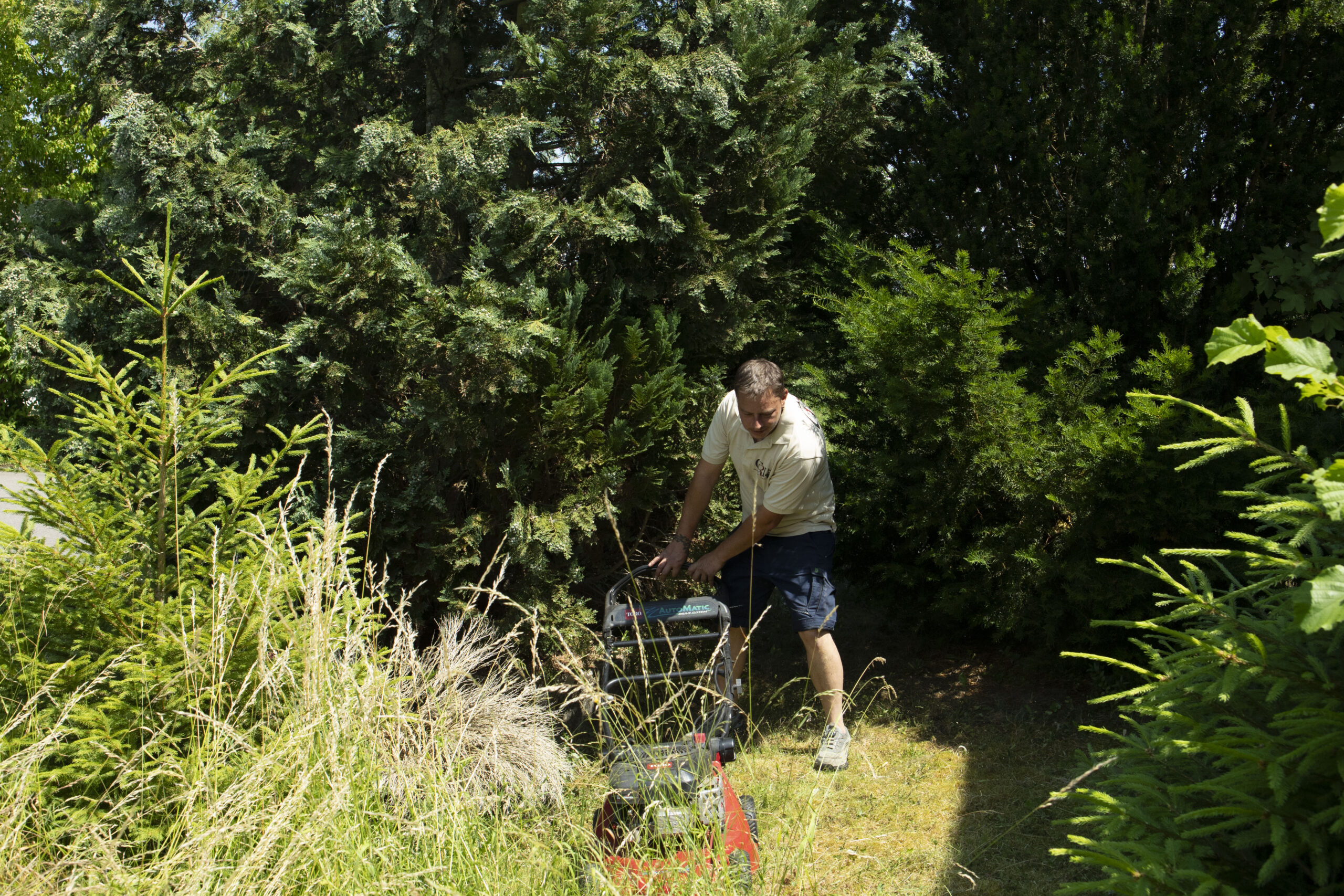 Gartenpflege